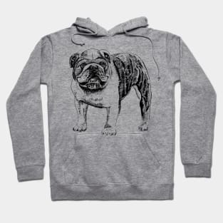 english bulldog Hoodie